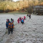 Blumengruppe